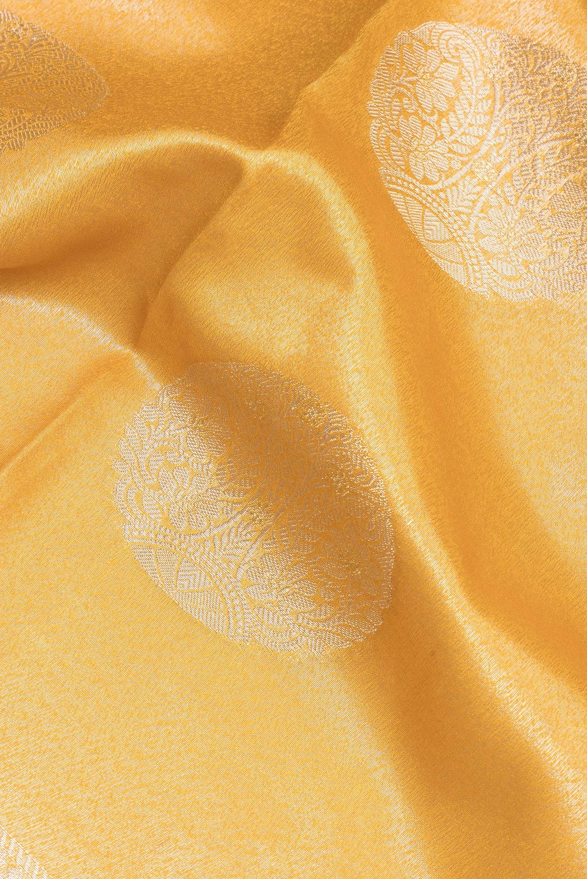 Close up of Mustard Dual Tone Tussar Silk Saree with Zari Brocade on the body and Zari Border.  displaying folds