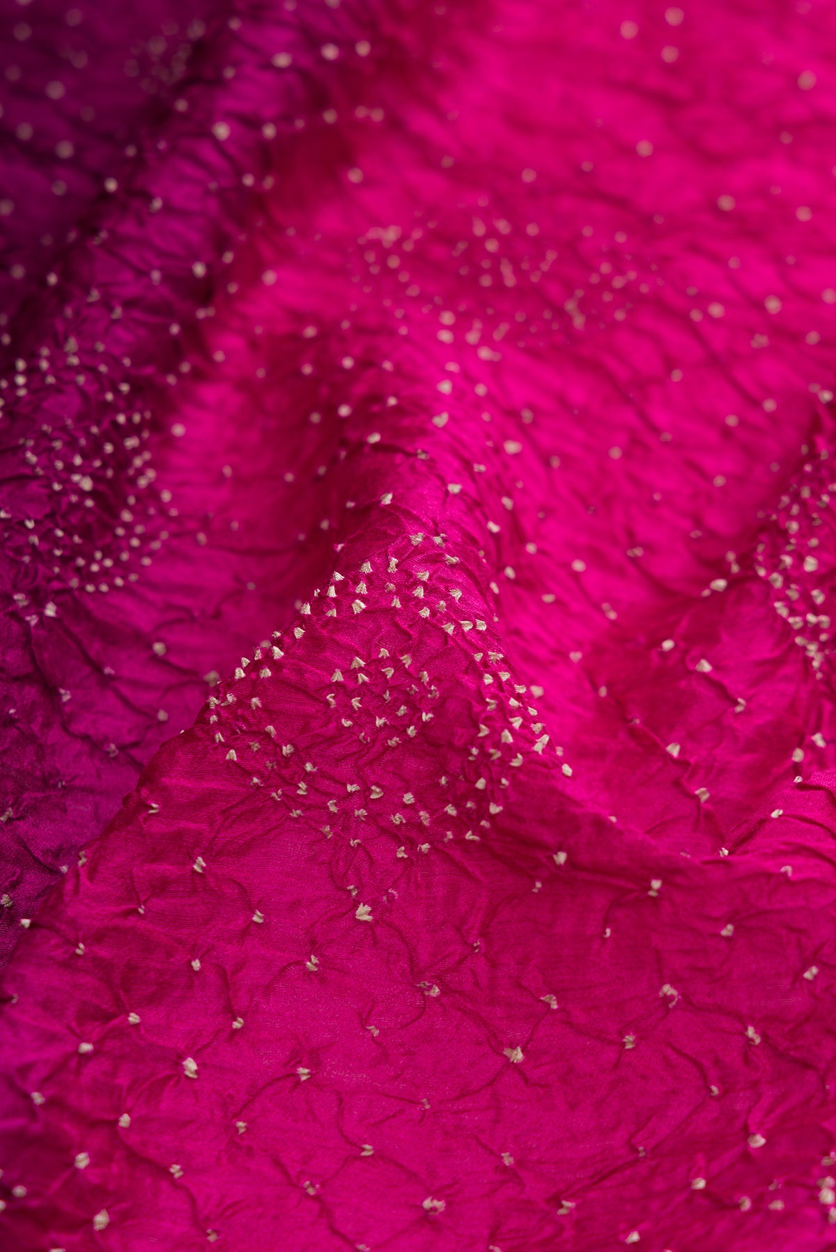Close up of Magenta and Purple Color Bandhani Silk Saree with Bandhani Print on the body and Printed Border.  displaying folds