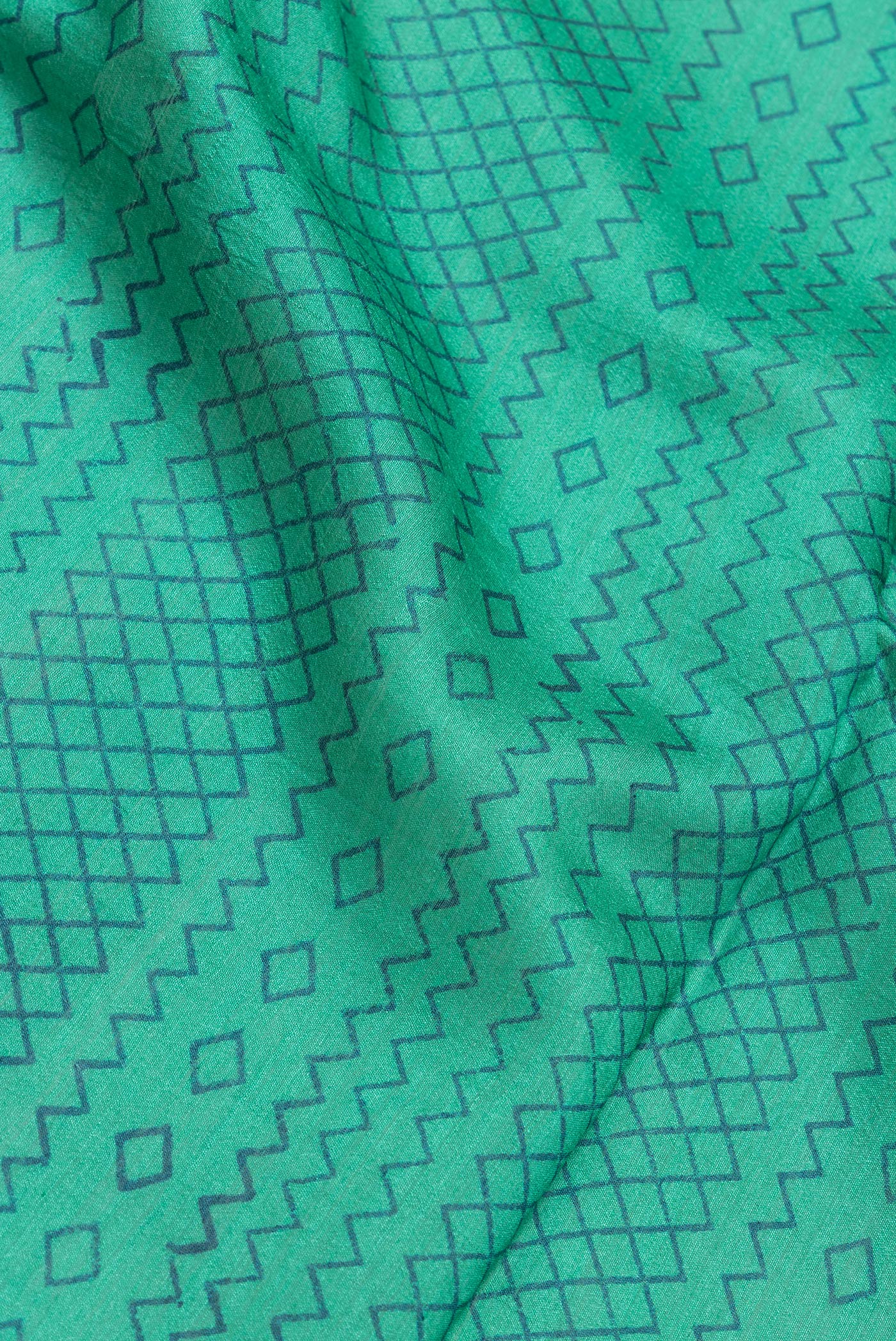 Close up of Sea Green Dual Tone Tussar Silk Saree with Printed design on the body and Plain Border.  displaying folds