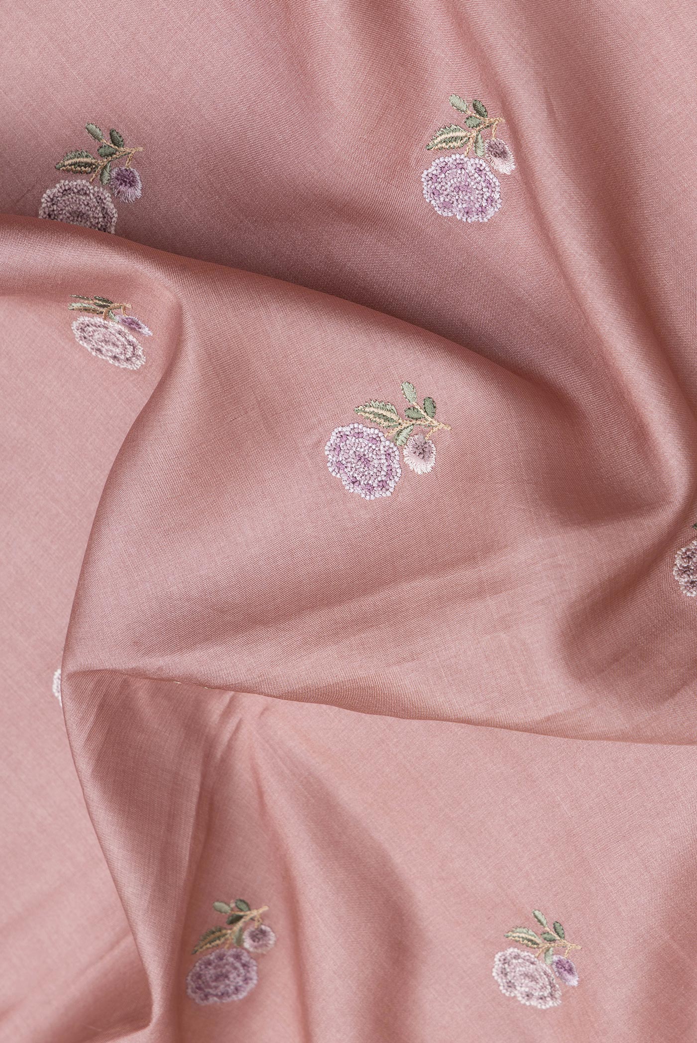 Close up of Rose Gold Dual Tone Tussar Silk Saree with Embroidery on the body and Embroidery Border.  displaying folds