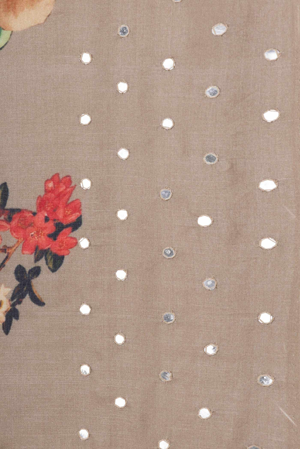 Border image of Brown Tussar Silk Saree with Floral Print on the body and Fancy Border