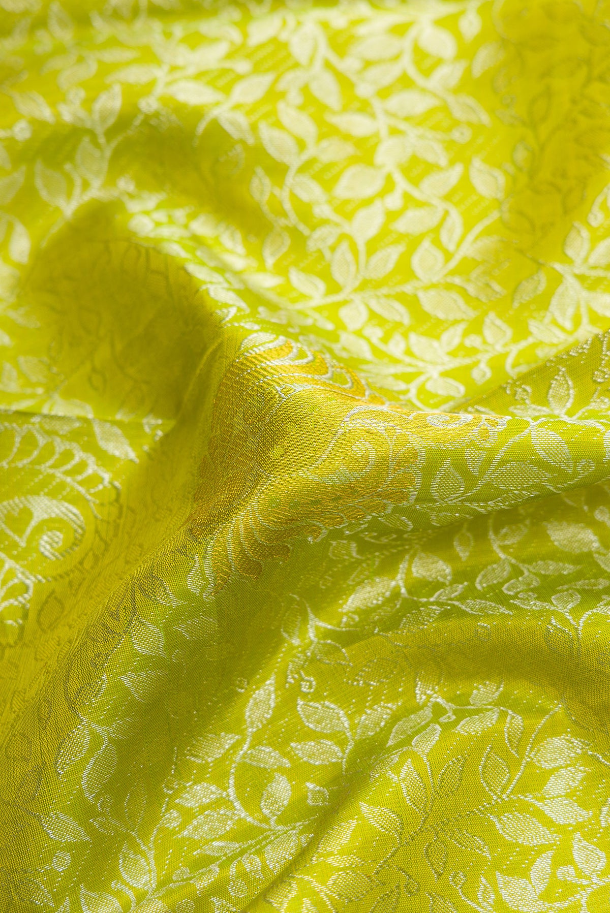 Close up of Parrot Green Dual Tone Kanjivaram Silk Saree with Zari Brocade on the body and Without Border.  displaying folds