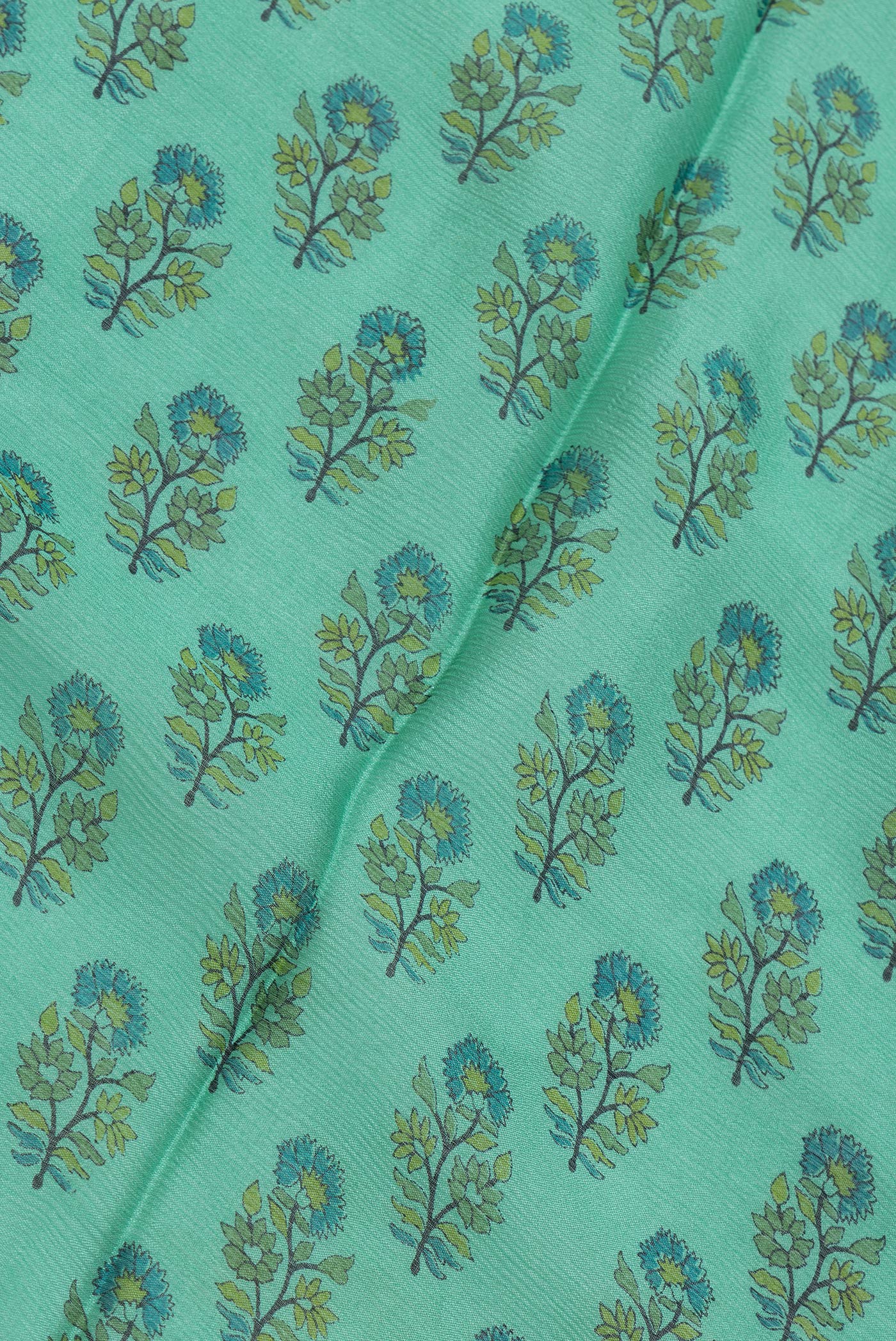 Close up of Sea Green Dual Tone Mysore Chiffon Saree with Printed design on the body and Zari Border.  displaying folds