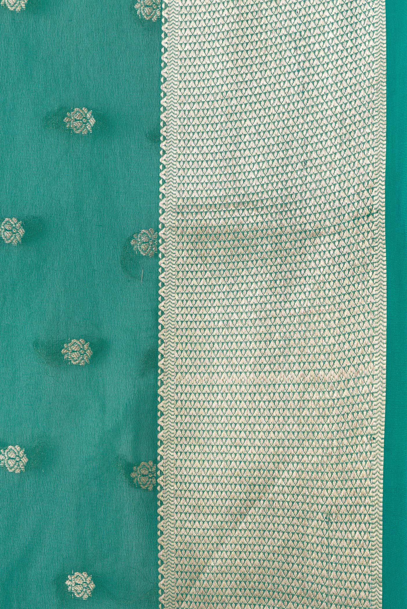 Border image of Green Dual Tone Georgette Saree with Zari Butta on the body and Zari Border. 