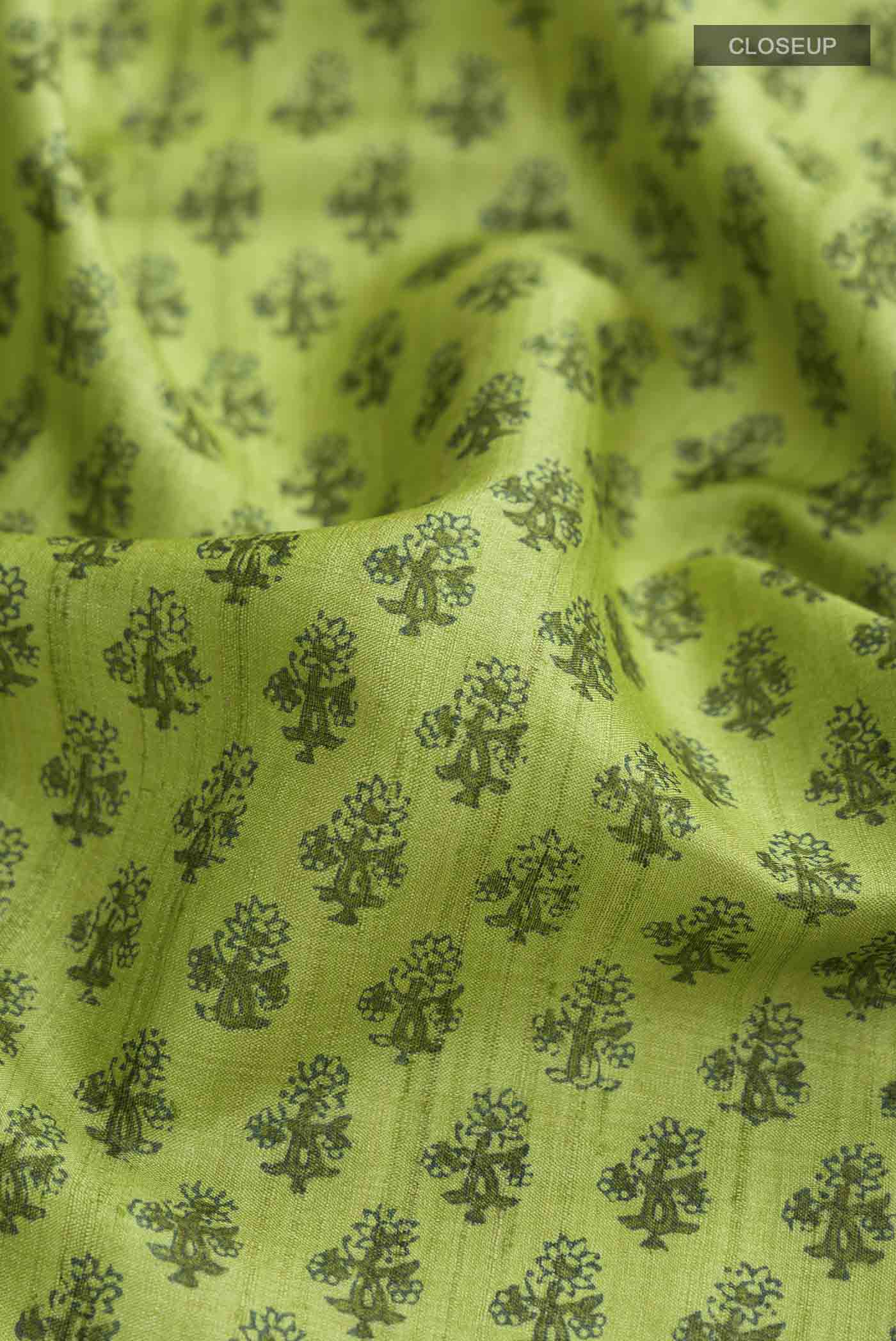 Close up of Green Tussar Silk Saree with Printed design on the body and Plain Border displaying folds
