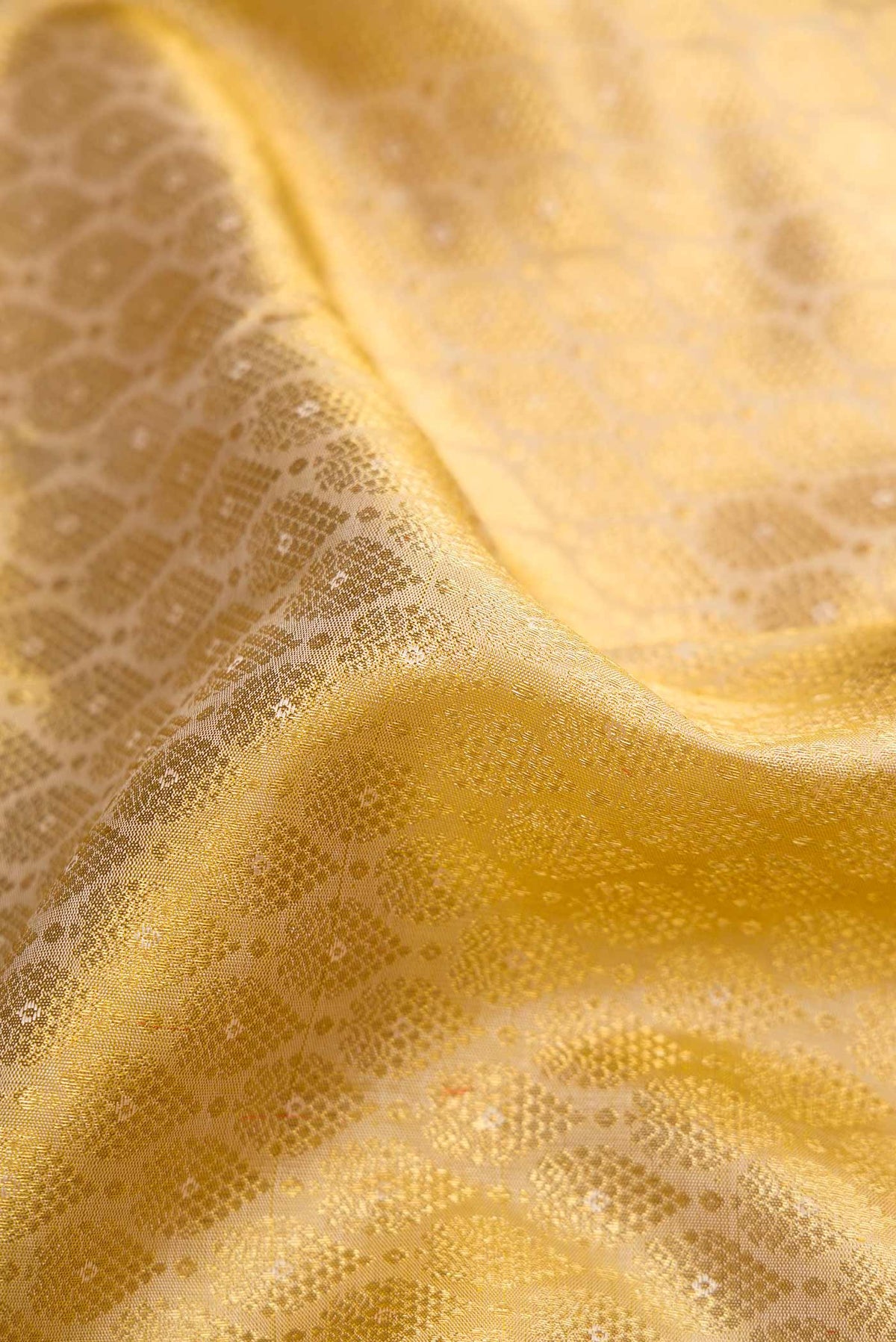 Close up of Beige Dual Tone Kanchipuram Silk Saree with Zari Brocade on the body and Zari Border displaying folds