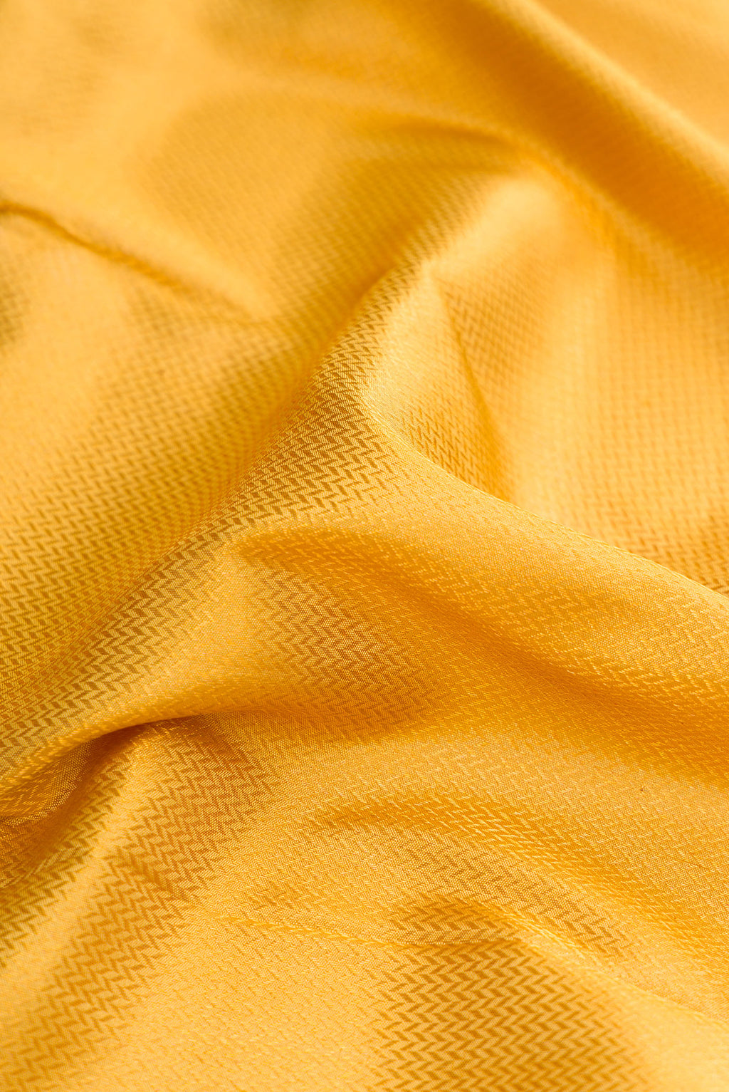 Close up of Yellow Kanjivaram Silk Saree with Zari Brocade on the body and Zari Border.  displaying folds