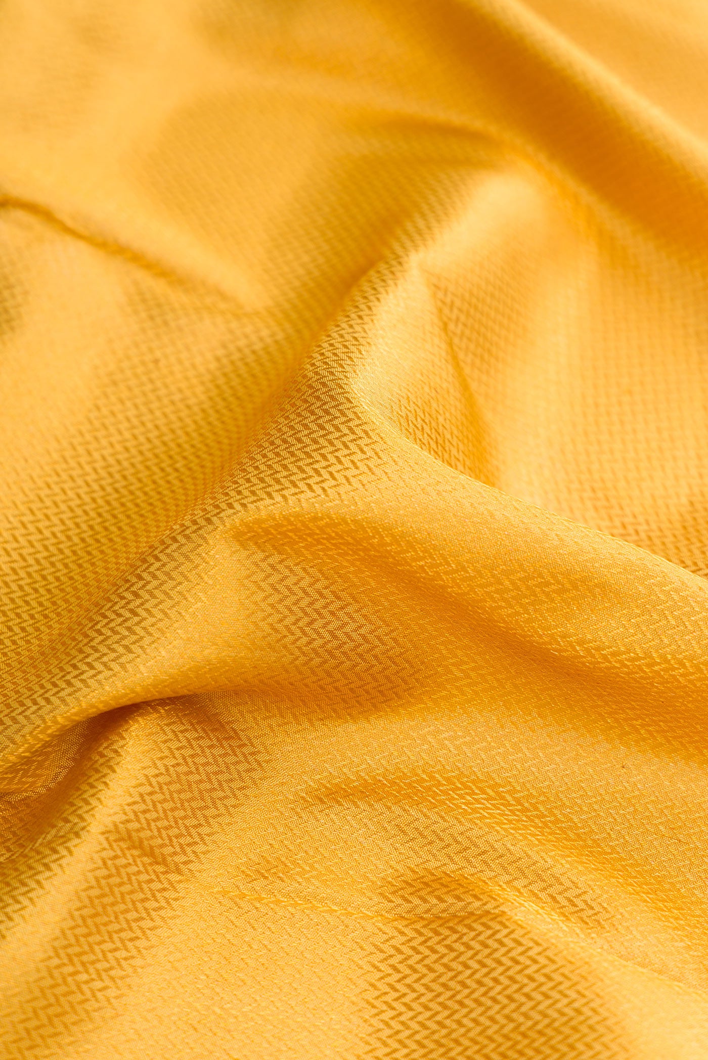 Close up of Yellow Kanjivaram Silk Saree with Zari Brocade on the body and Zari Border.  displaying folds