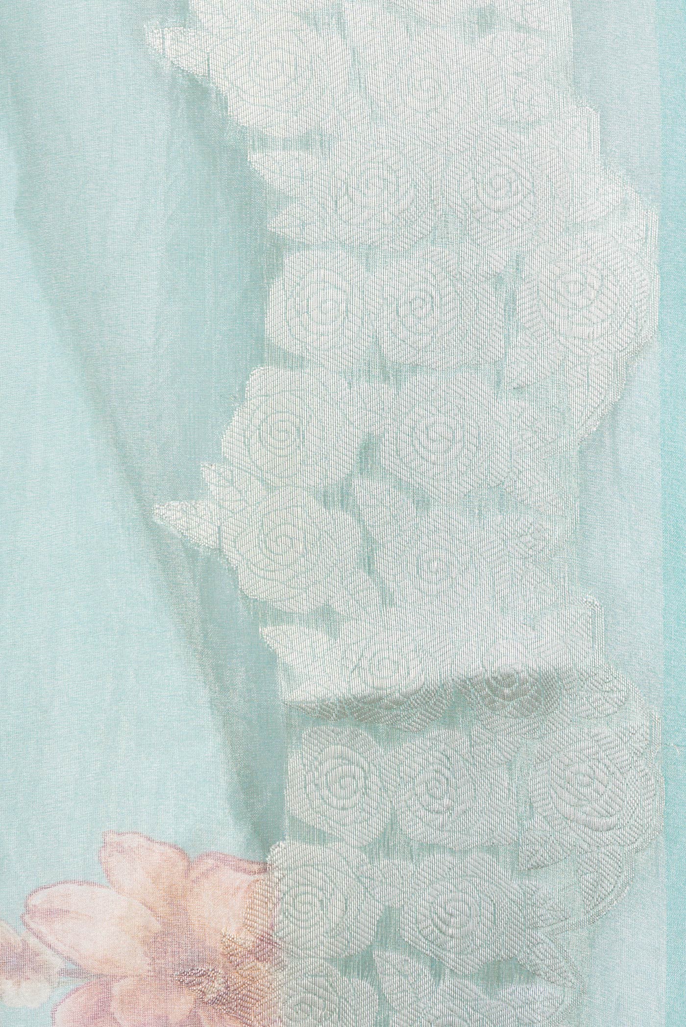 Border image of Sky Blue Dual Tone Organza Silk Saree with Printed design on the body and Zari Border. 