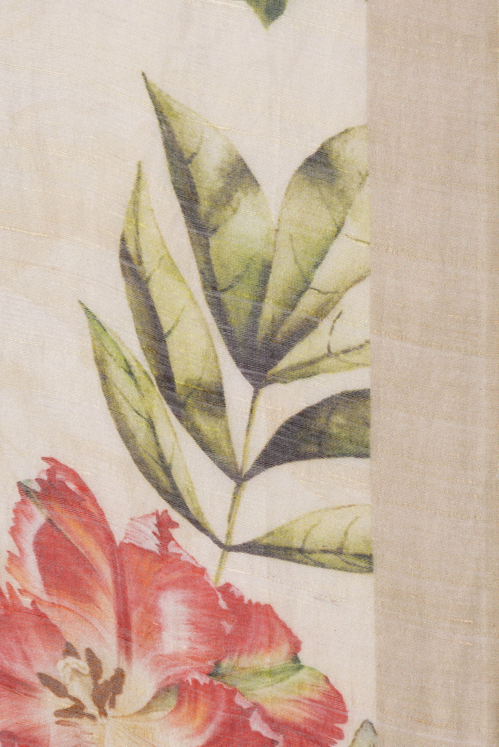 Border image of Sandal Dual Tone Organza Silk Saree with Printed design on the body and Zari Border. 