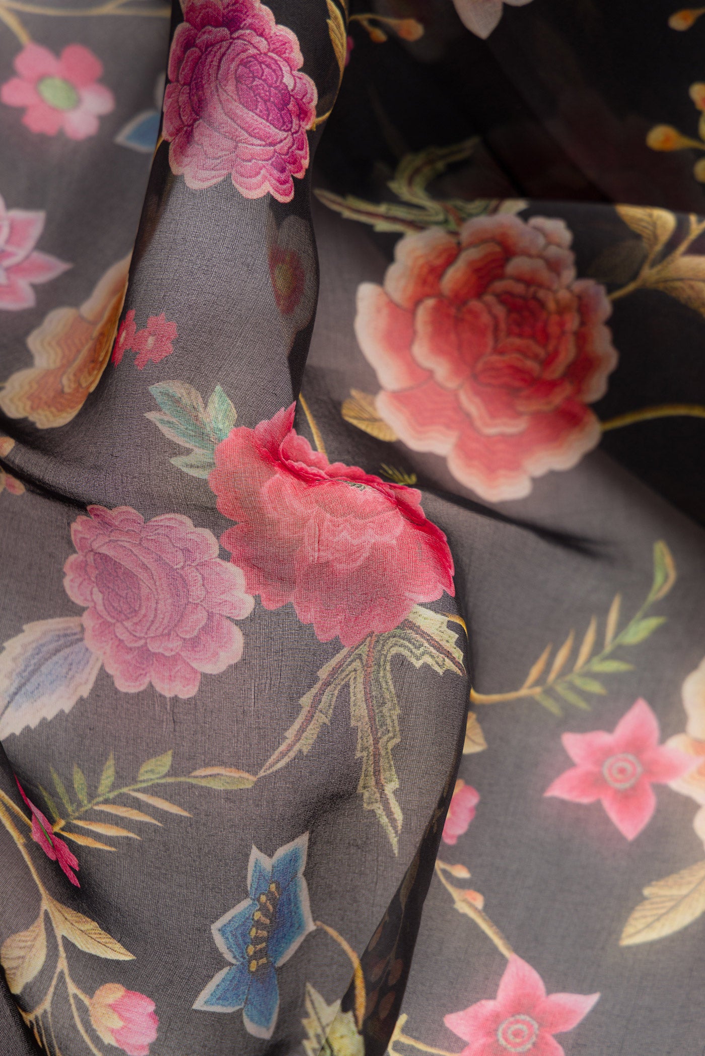 Close up of Black Dual Tone Organza Silk Saree with Printed design on the body and Zari Border.  displaying folds