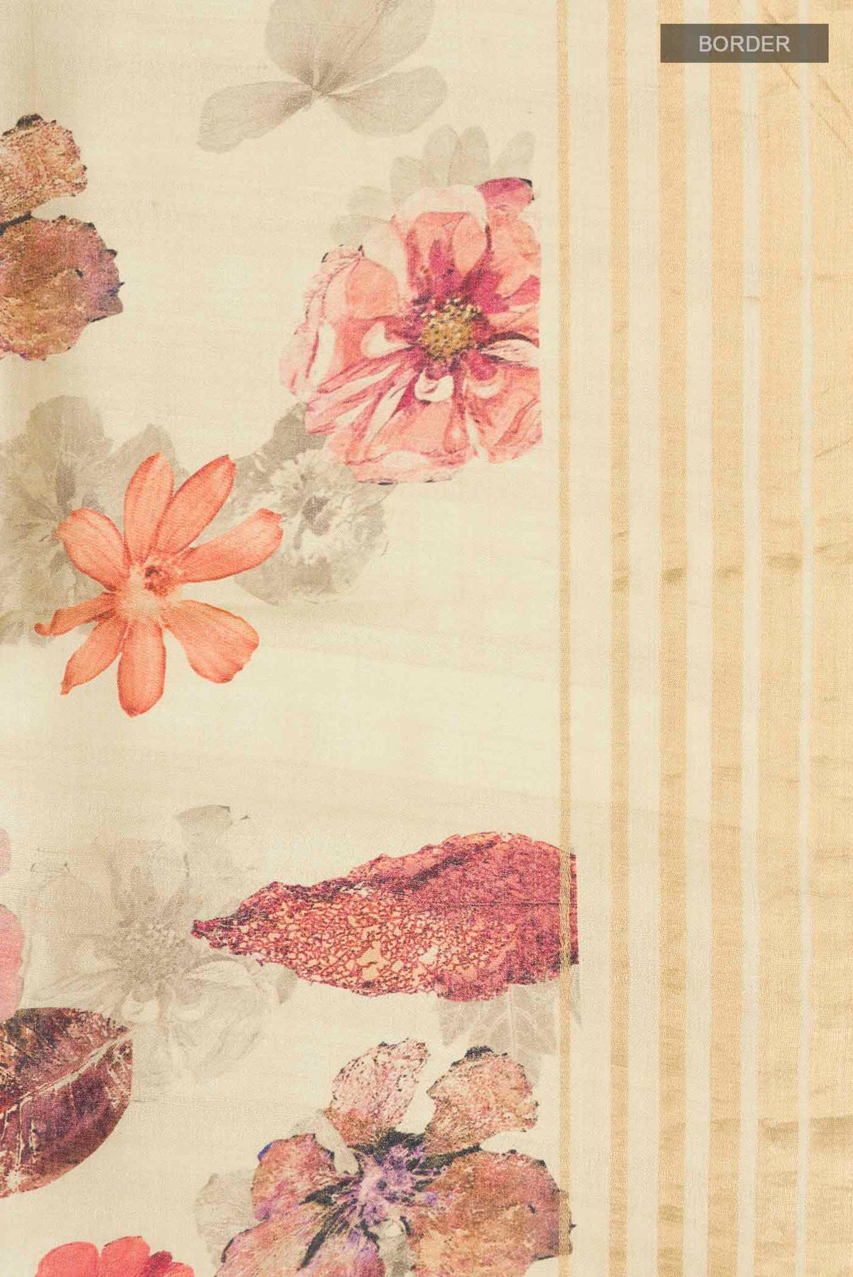 Border image of Beige Bhagalpuri Tussar Silk Saree with Floral Print on the body and Zari Border