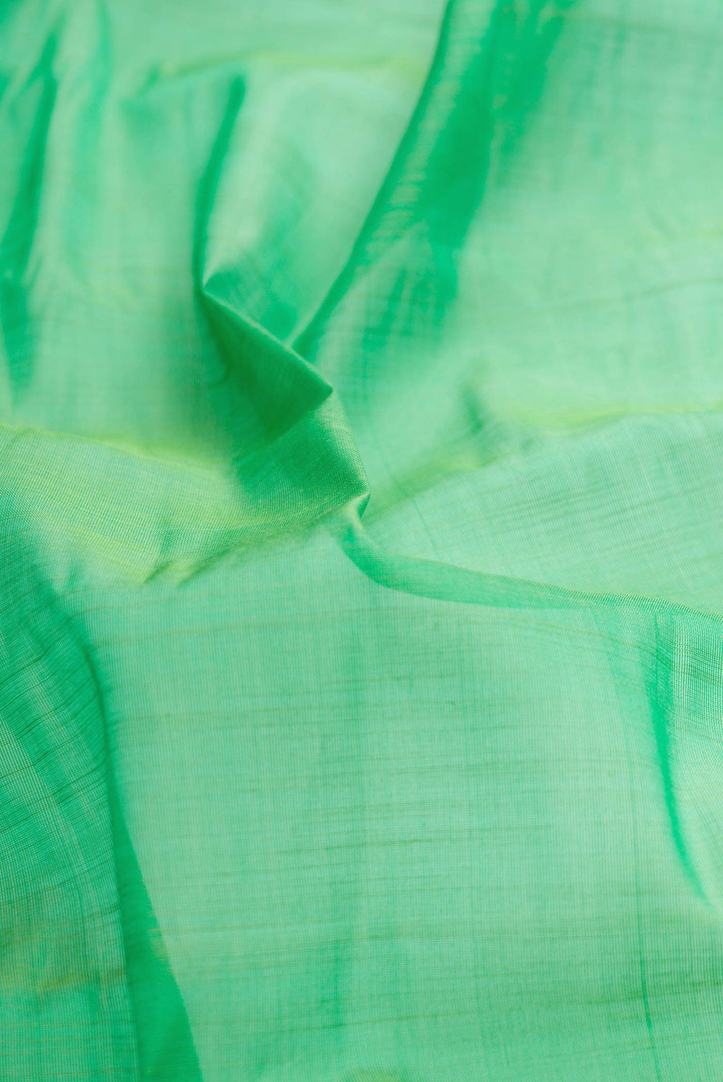 Close up of Green Dual Tone Gadwal Silk Saree with Plain Body and Fancy Border displaying folds