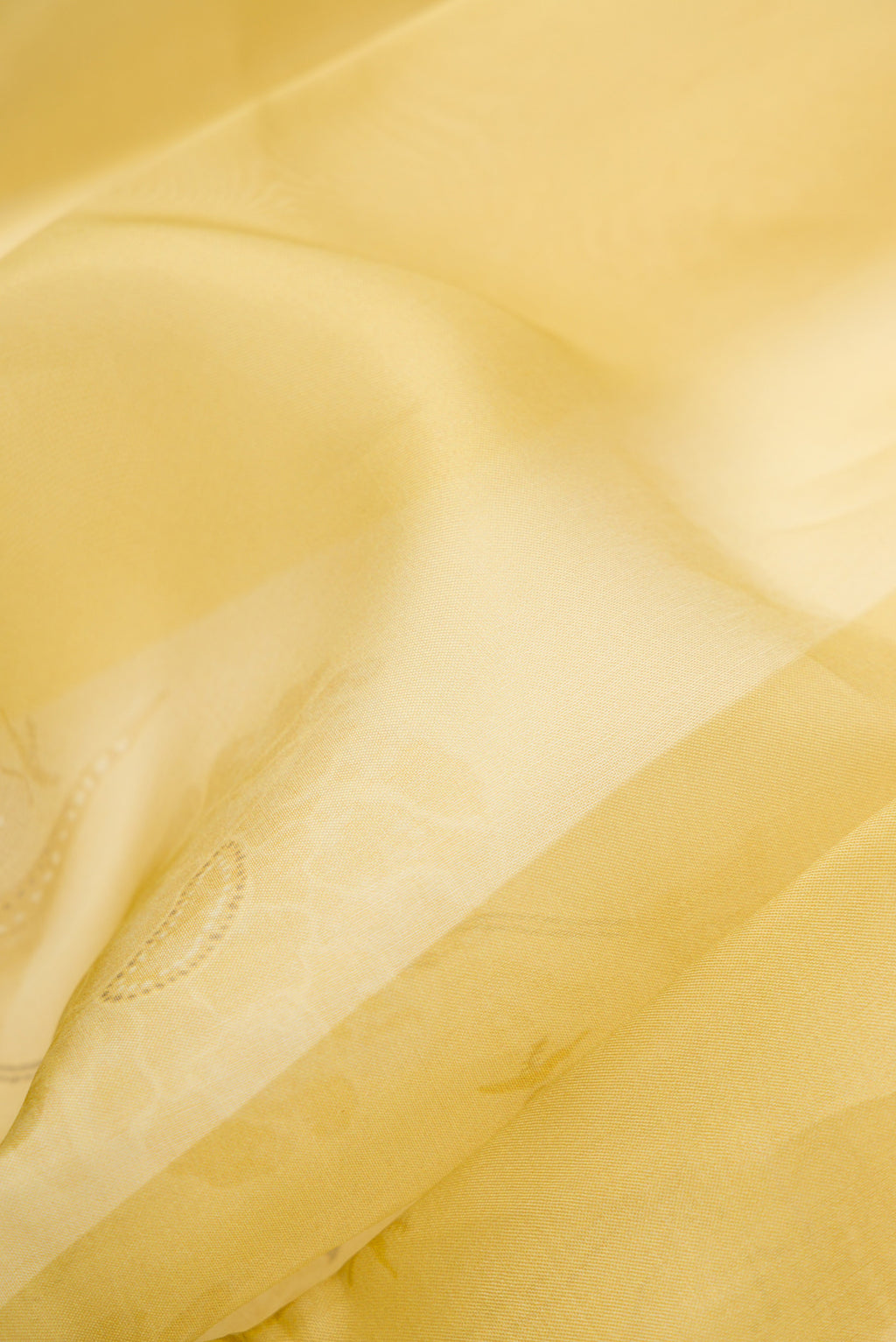 Close up of Mehandi Green Dual Tone Organza Silk Saree with Printed design on the body and Printed Border.  displaying folds