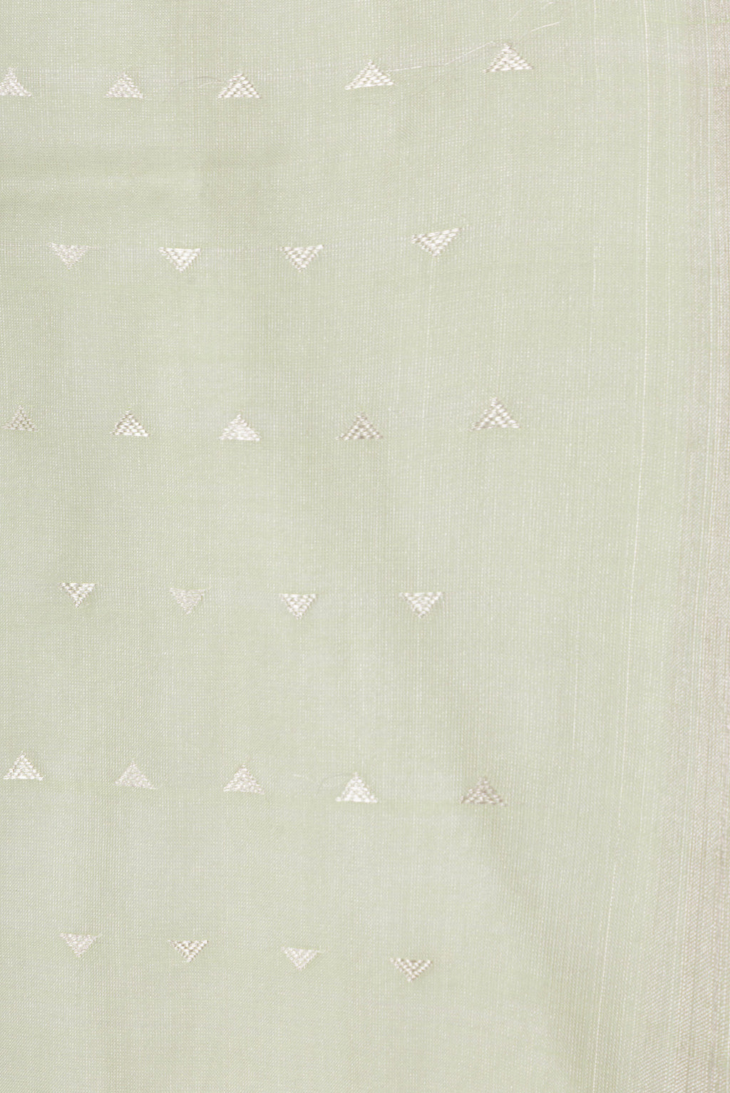 Border image of Pista Green Dual Tone Chanderi Tissue Silk Saree with Zari Butta on the body and Zari Border. 