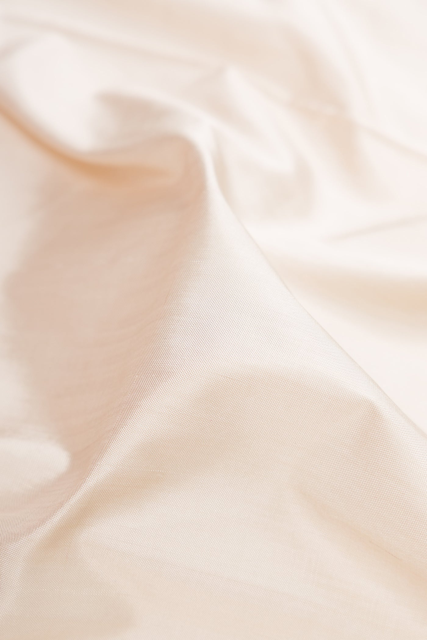 Close up of Off White Double Ikat Saree with Plain Body and Ikat Border.  displaying folds