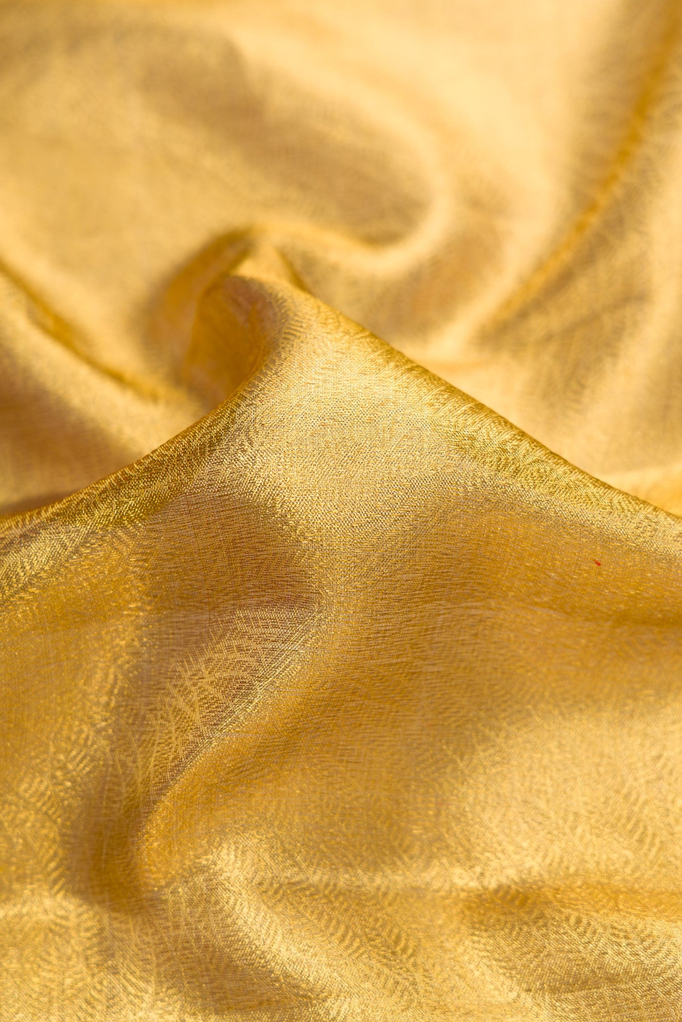 Close up of Gold Dual Tone Kanjivaram Tissue Silk Saree with Zari Brocade on the body and Zari Border.  displaying folds