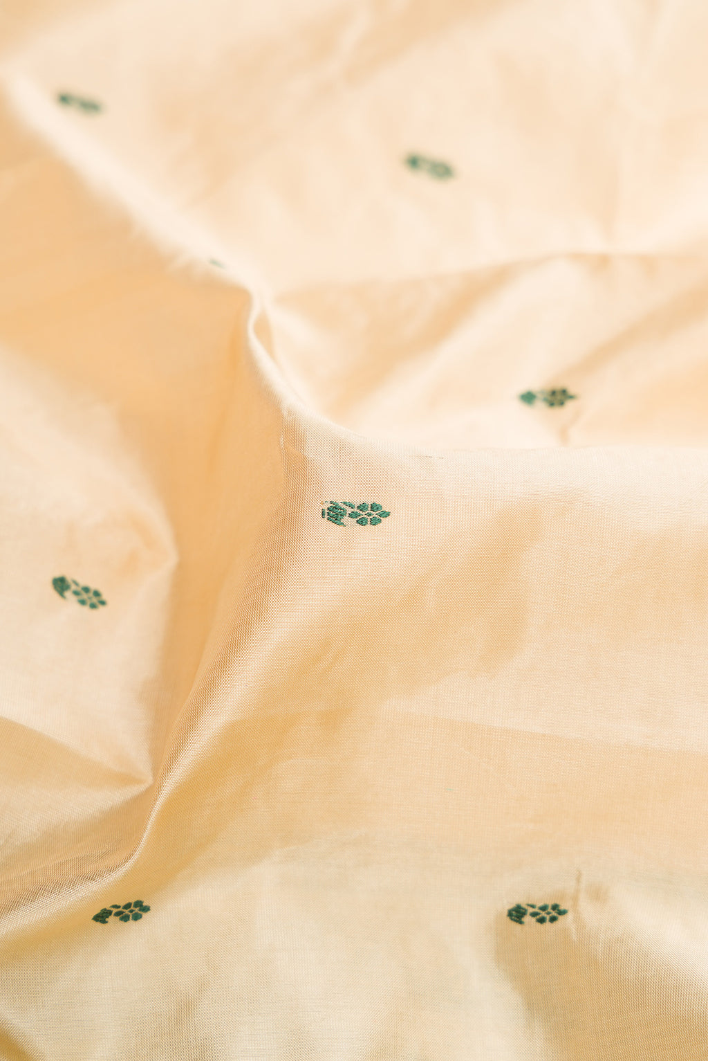 Close up of Sandal Banarasi Silk Saree with Thread Butta on the body and Thread Border.  displaying folds