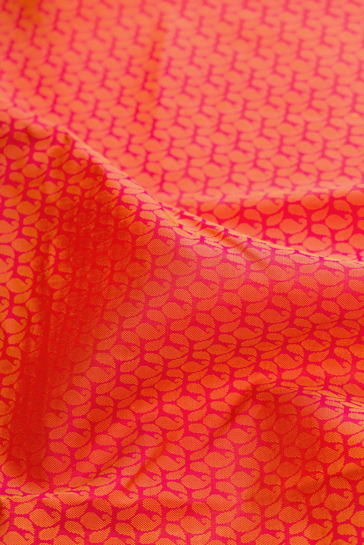 Close up of Coral Dual Tone Kanjivaram Silk Saree with Jacquard design on the body and Fancy Border.  displaying folds
