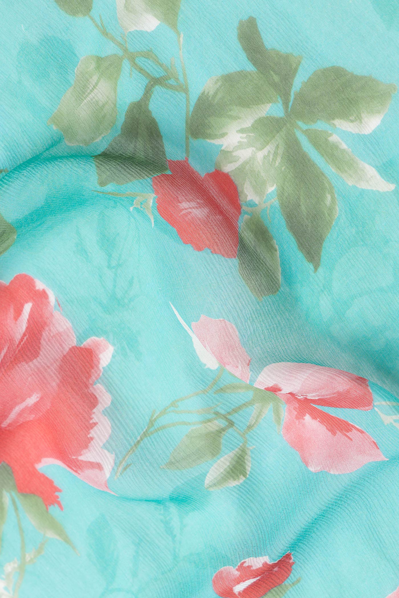Close up of Sea Green Dual Tone Mysore Chiffon Saree with Printed design on the body and Zari Border.  displaying folds