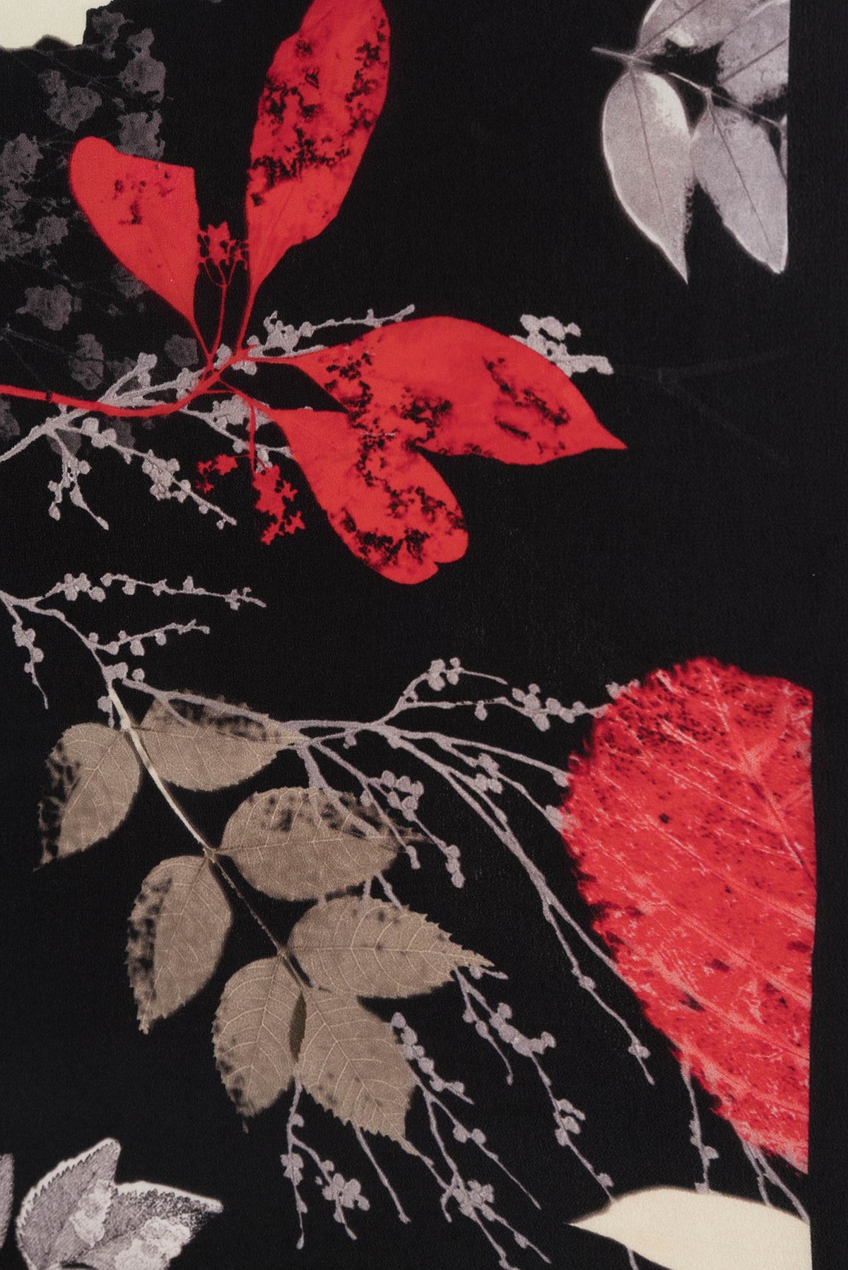 Border image of Black Dual Tone Mysore Crepe Saree with Printed design on the body and Without Border. 