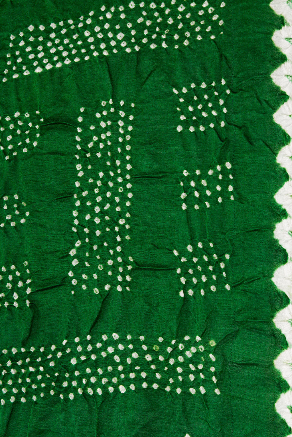 Border image of Bottle Green Dual Tone Bandhani Silk Saree with Printed design on the body and Printed Border. 