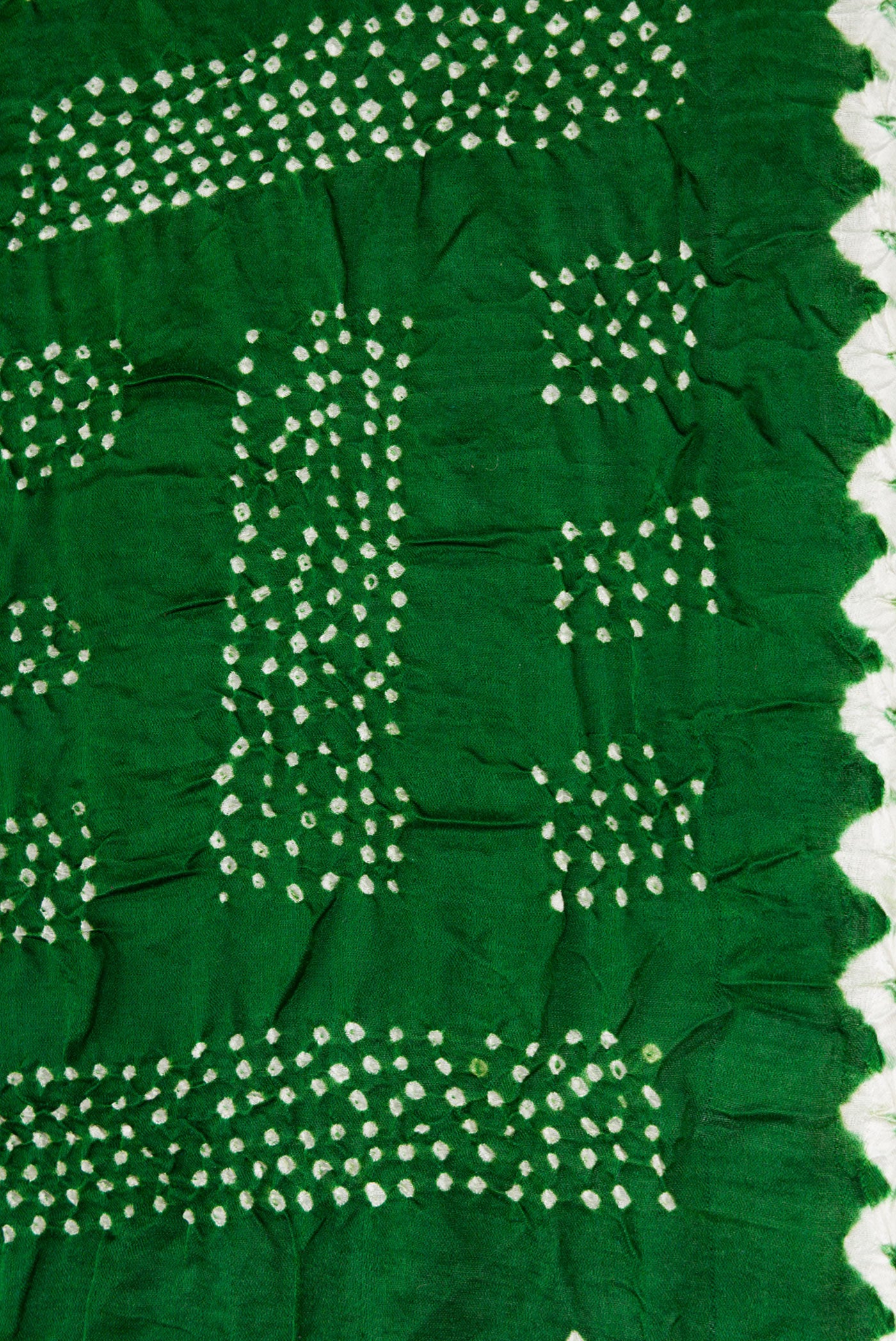 Border image of Bottle Green Dual Tone Bandhani Silk Saree with Printed design on the body and Printed Border. 