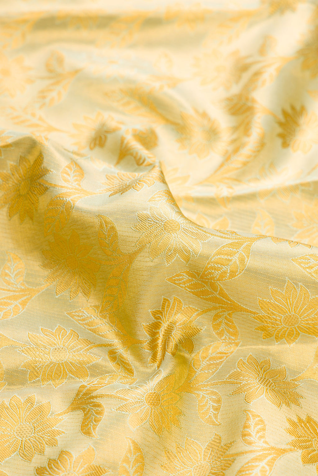 Close up of Pista Green Dual Tone Kanchipuram Tissue Silk Saree with Zari Brocade on the body and Zari Border.  displaying folds