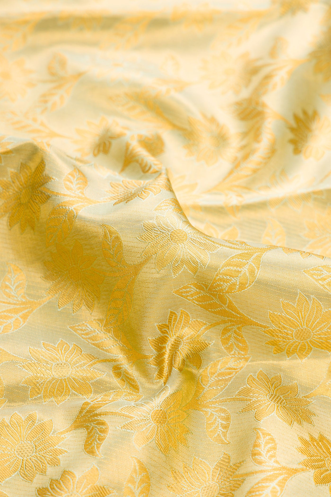 Close up of Pista Green Dual Tone Kanchipuram Tissue Silk Saree with Zari Brocade on the body and Zari Border.  displaying folds