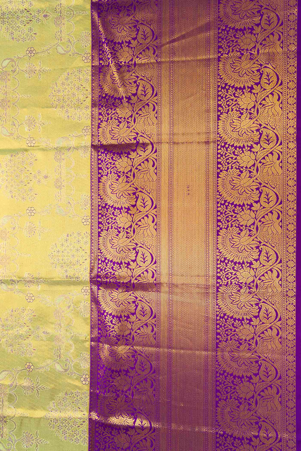 Border image of Pista Green Dual Tone Kanchipuram Tissue Silk Saree with Zari Brocade on the body and Zari Border. 