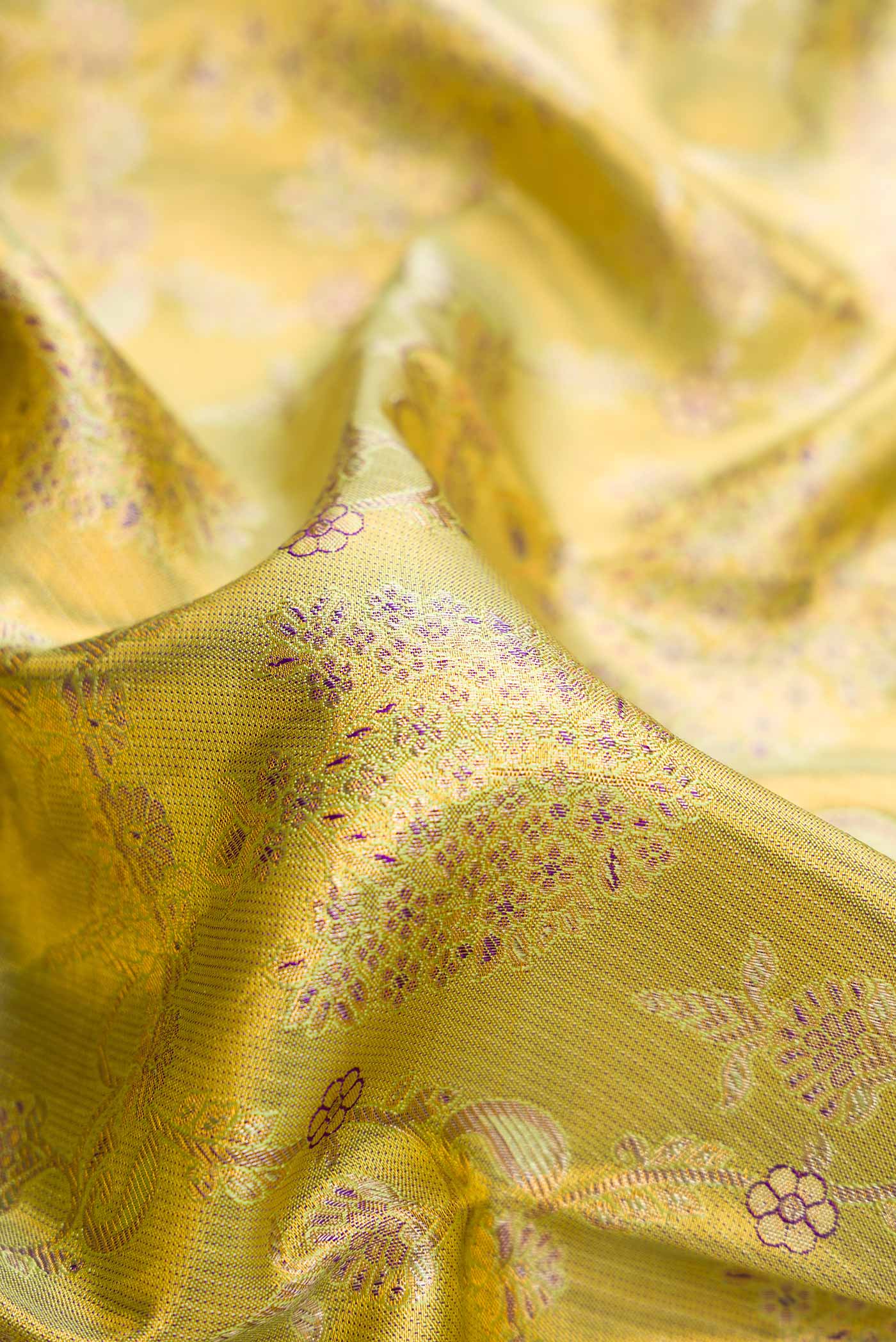 Close up of Pista Green Dual Tone Kanchipuram Tissue Silk Saree with Zari Brocade on the body and Zari Border.  displaying folds