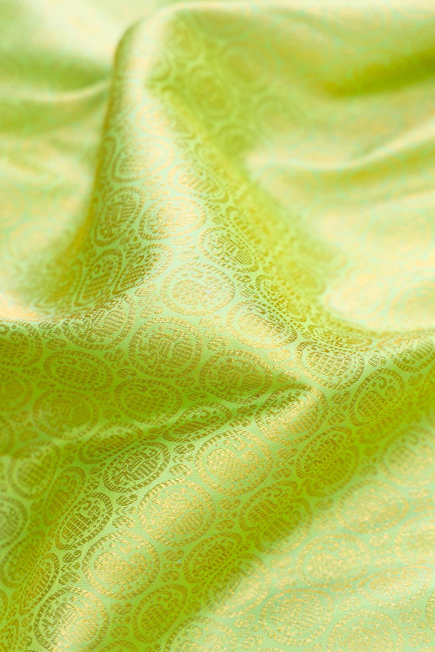 Close up of Parrot Green Dual Tone Kanjivaram Silk Saree with Zari Brocade on the body and Zari Border.  displaying folds