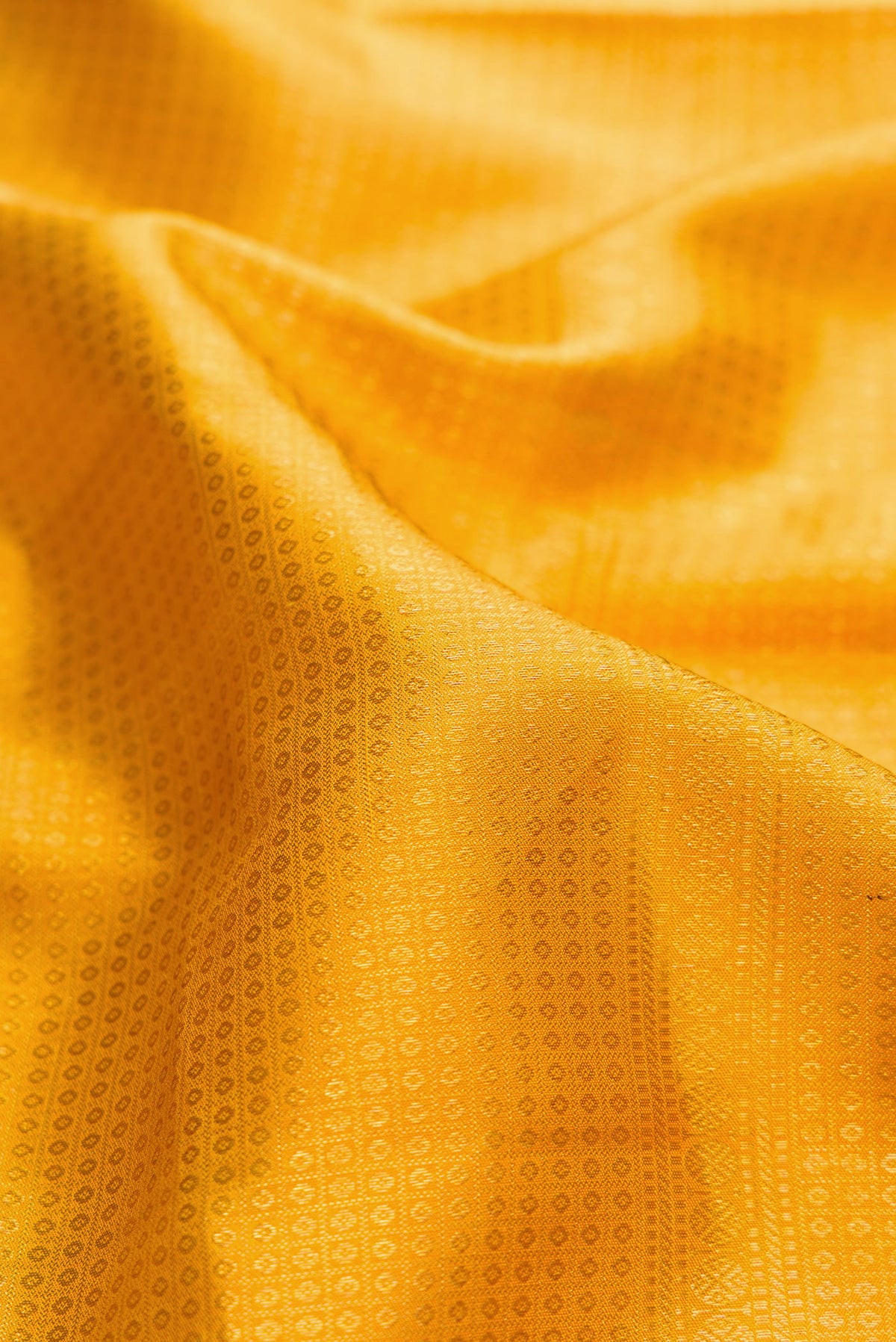 Close up of Mustard Dual Tone Kanjivaram Silk Saree with Zari Brocade on the body and Zari Border.  displaying folds