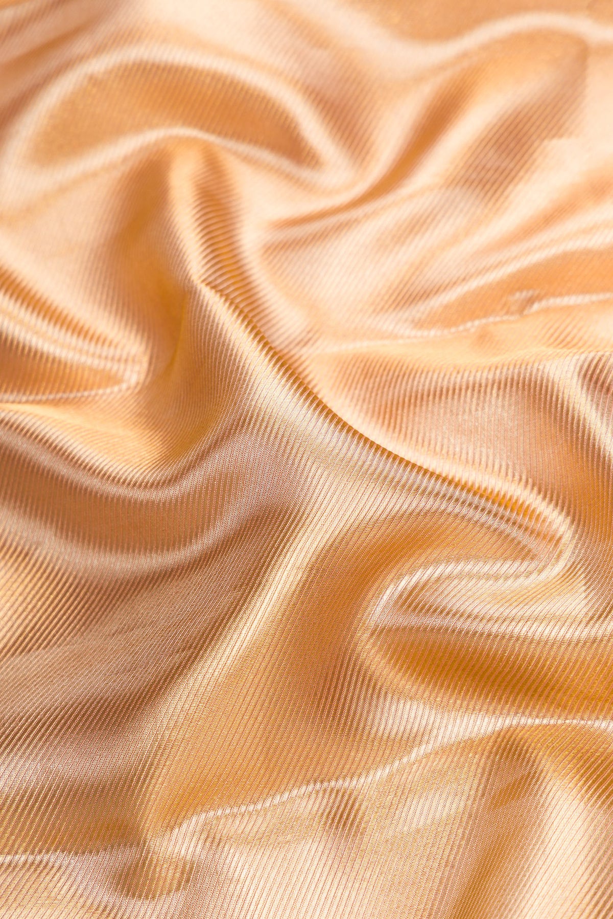Close up of Gold Dual Tone Kanjivaram Tissue Silk Saree with Zari Brocade on the body and Fancy Border.  displaying folds
