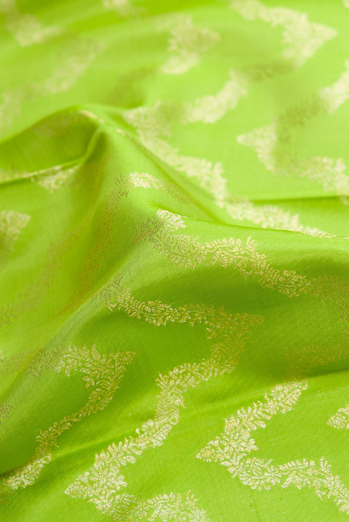 Close up of Parrot Green Dual Tone Kanjivaram Silk Saree with Zari Brocade on the body and Zari Border.  displaying folds