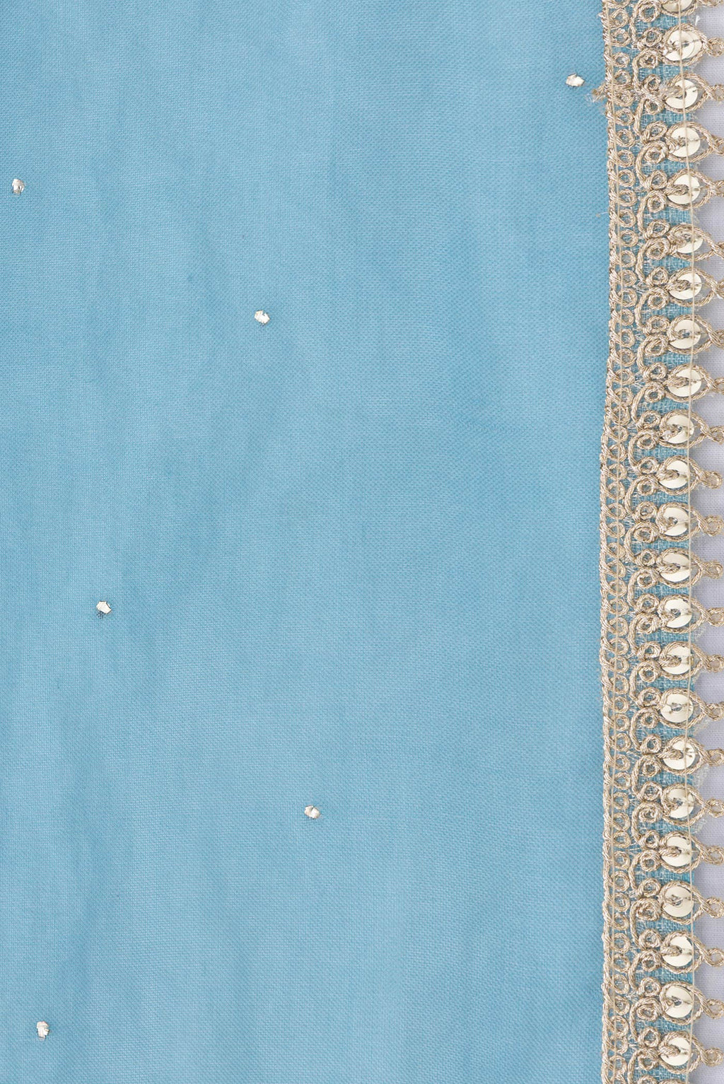 Border image of Sky Blue Dual Tone Organza Silk Saree with Embroidery on the body and Embroidery Border. 