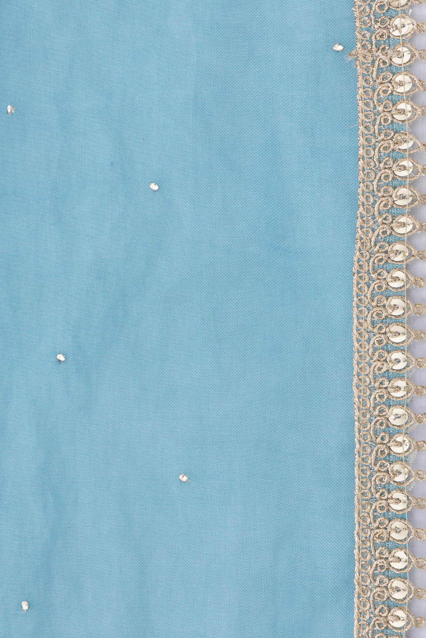 Border image of Sky Blue Dual Tone Organza Silk Saree with Embroidery on the body and Embroidery Border. 