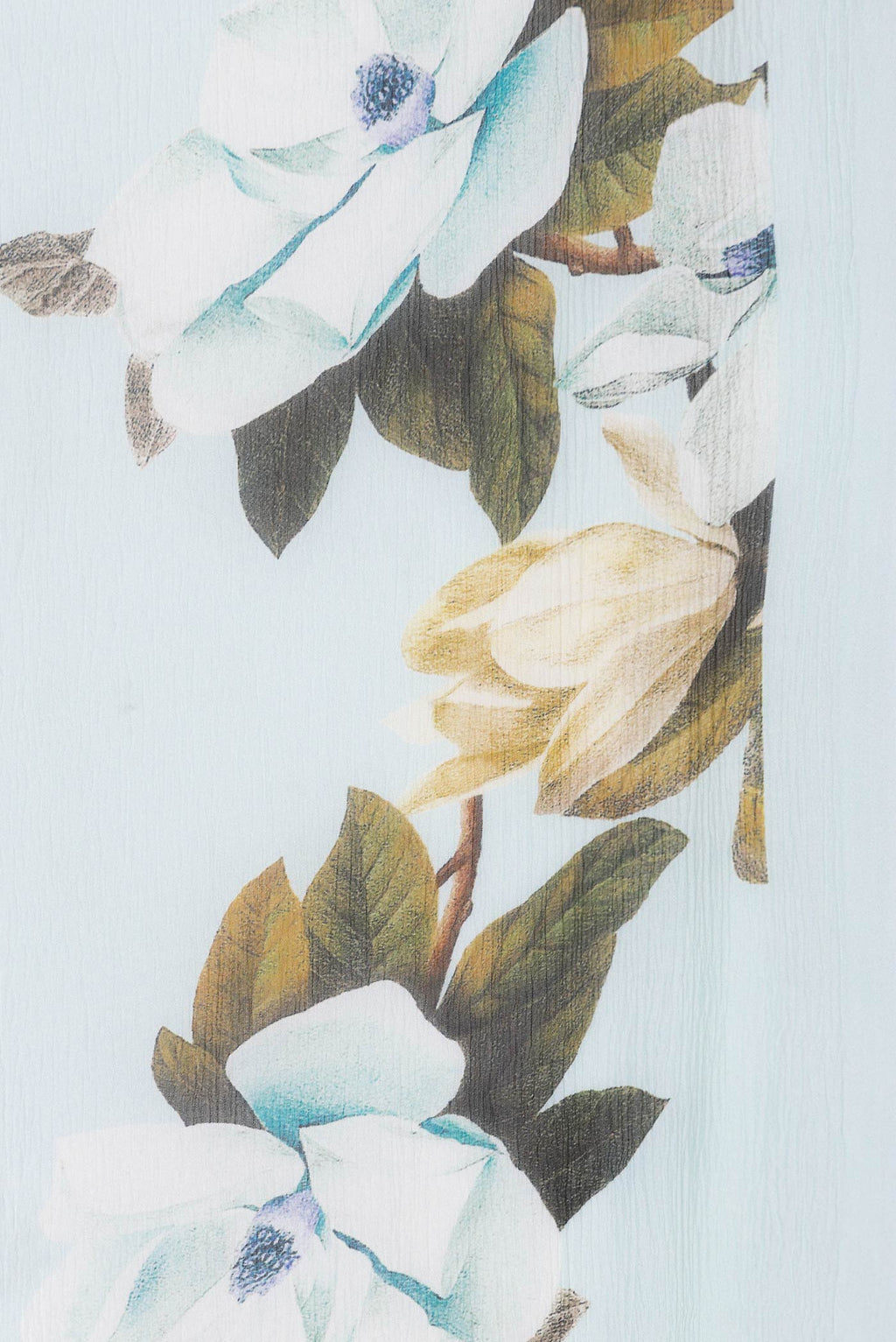 Border image of Light Green Dual Tone Mysore Chiffon Saree with Printed design on the body and Plain Border