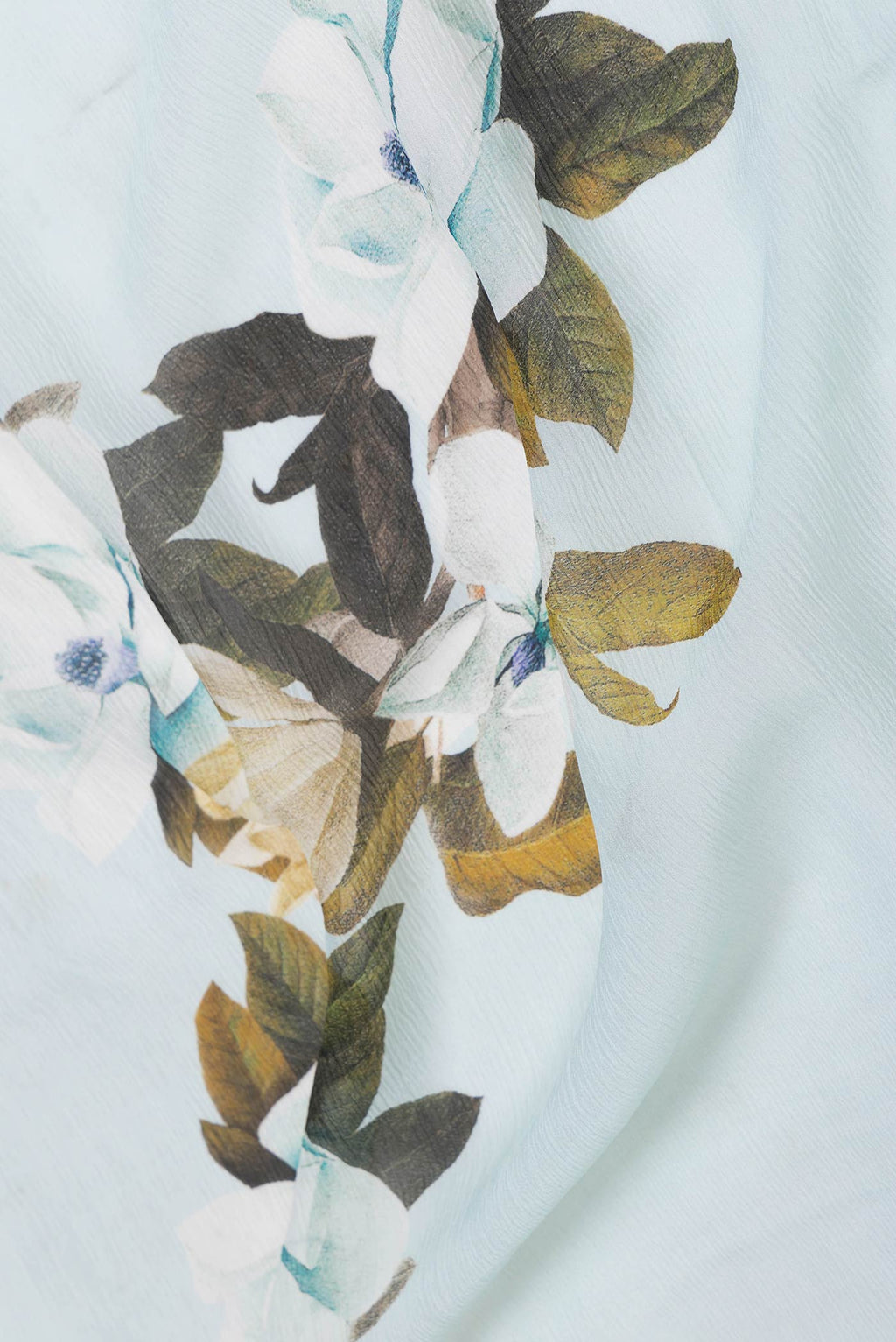 Close up of Light Green Dual Tone Mysore Chiffon Saree with Printed design on the body and Plain Border displaying folds