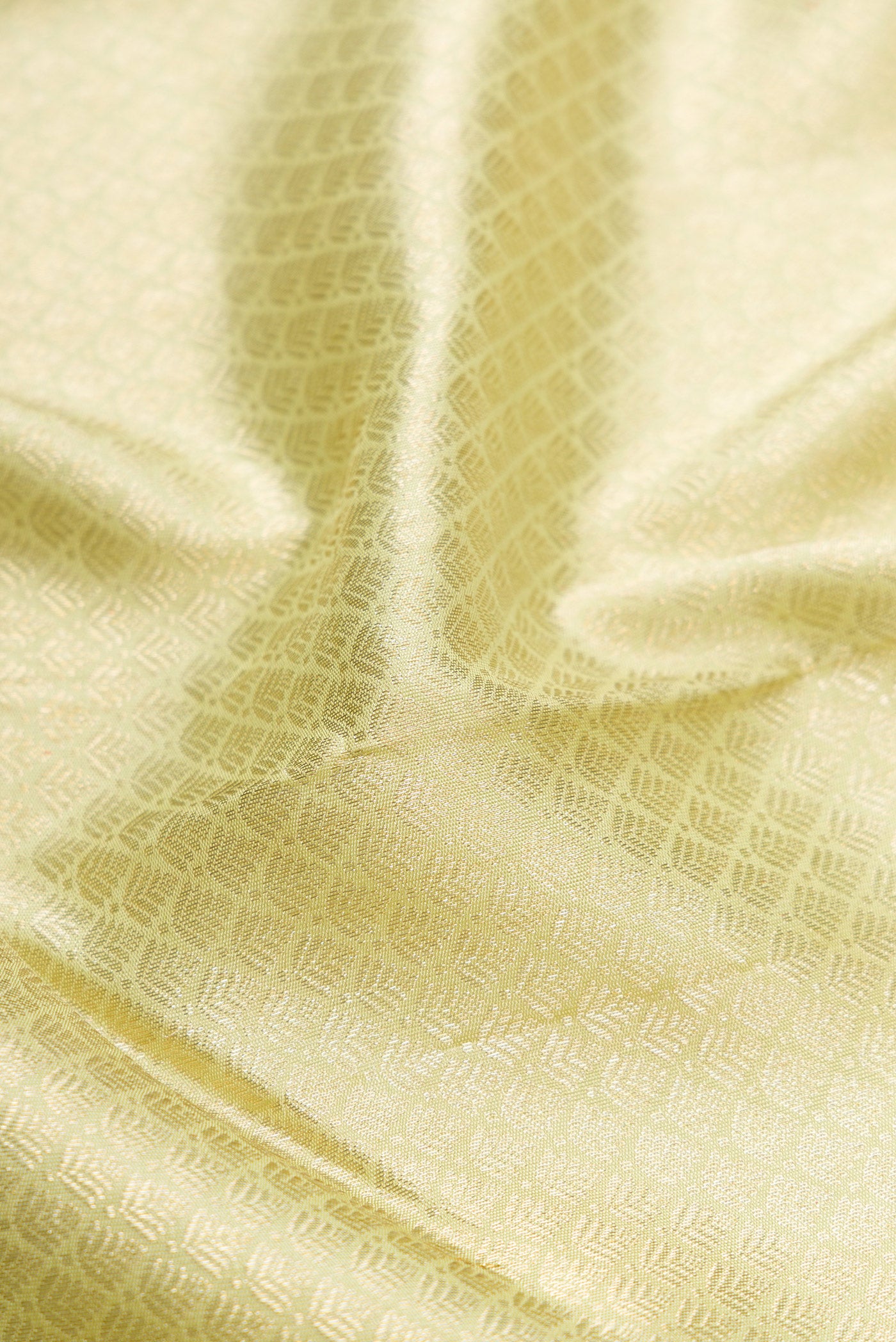 Close up of Pista Green Dual Tone Kanchipuram Silk Saree with Zari Brocade on the body and Zari Border.  displaying folds