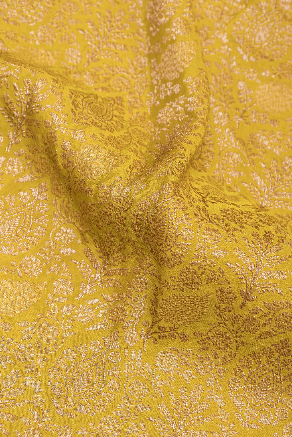 Close up of Mustard Banarasi Georgette Saree with Zari Brocade on the body and Zari Border.  displaying folds