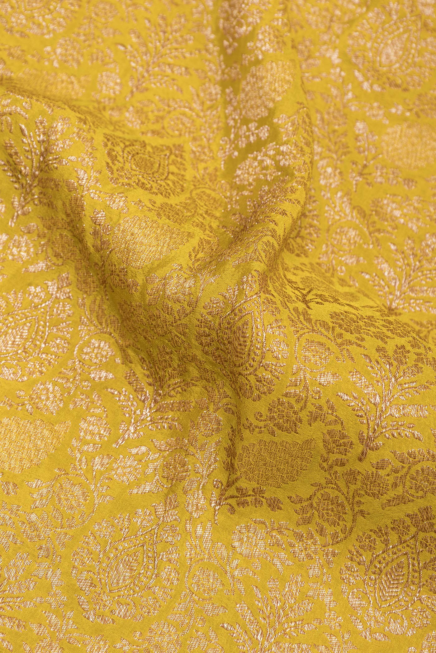 Close up of Mustard Banarasi Georgette Saree with Zari Brocade on the body and Zari Border.  displaying folds