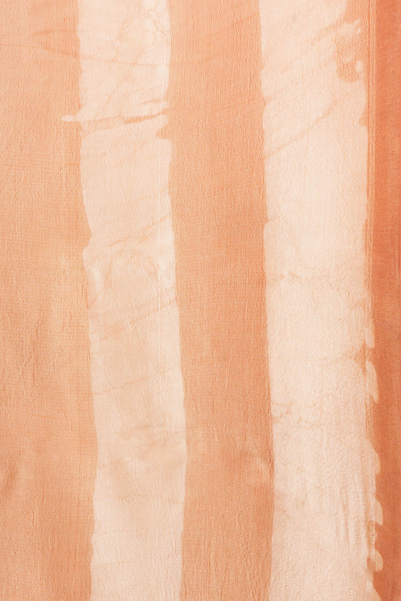 Border image of Sandal Dual Tone Tussar Silk Saree with Printed design on the body and Printed Border. 