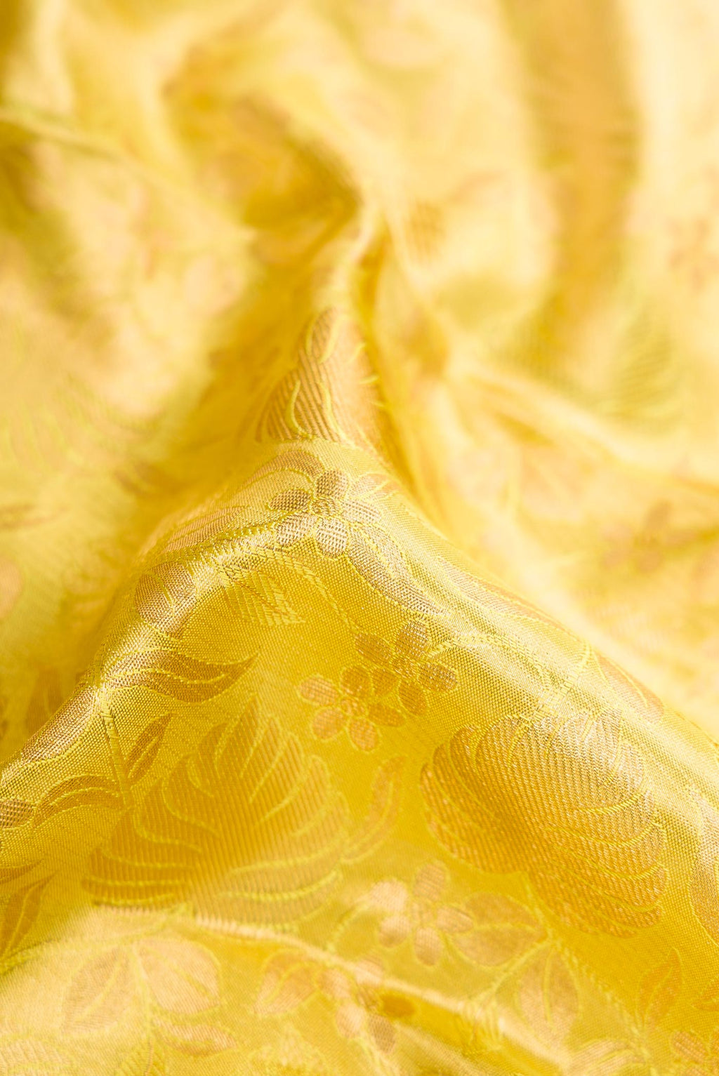 Close up of Green Dual Tone Kanchipuram Tissue Silk Saree with Zari Brocade on the body and Zari Border.  displaying folds