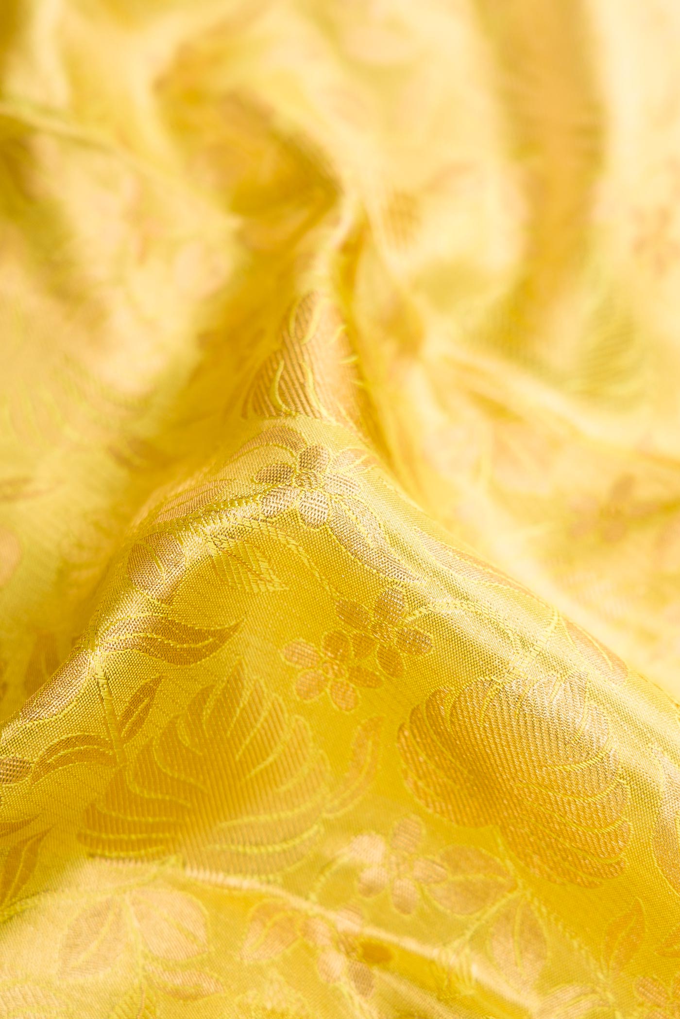 Close up of Green Dual Tone Kanchipuram Tissue Silk Saree with Zari Brocade on the body and Zari Border.  displaying folds