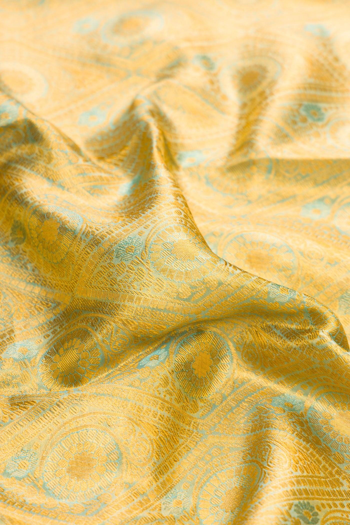 Close up of Gold Dual Tone Kanchipuram Tissue Silk Saree with Zari Brocade on the body and Zari Border.  displaying folds