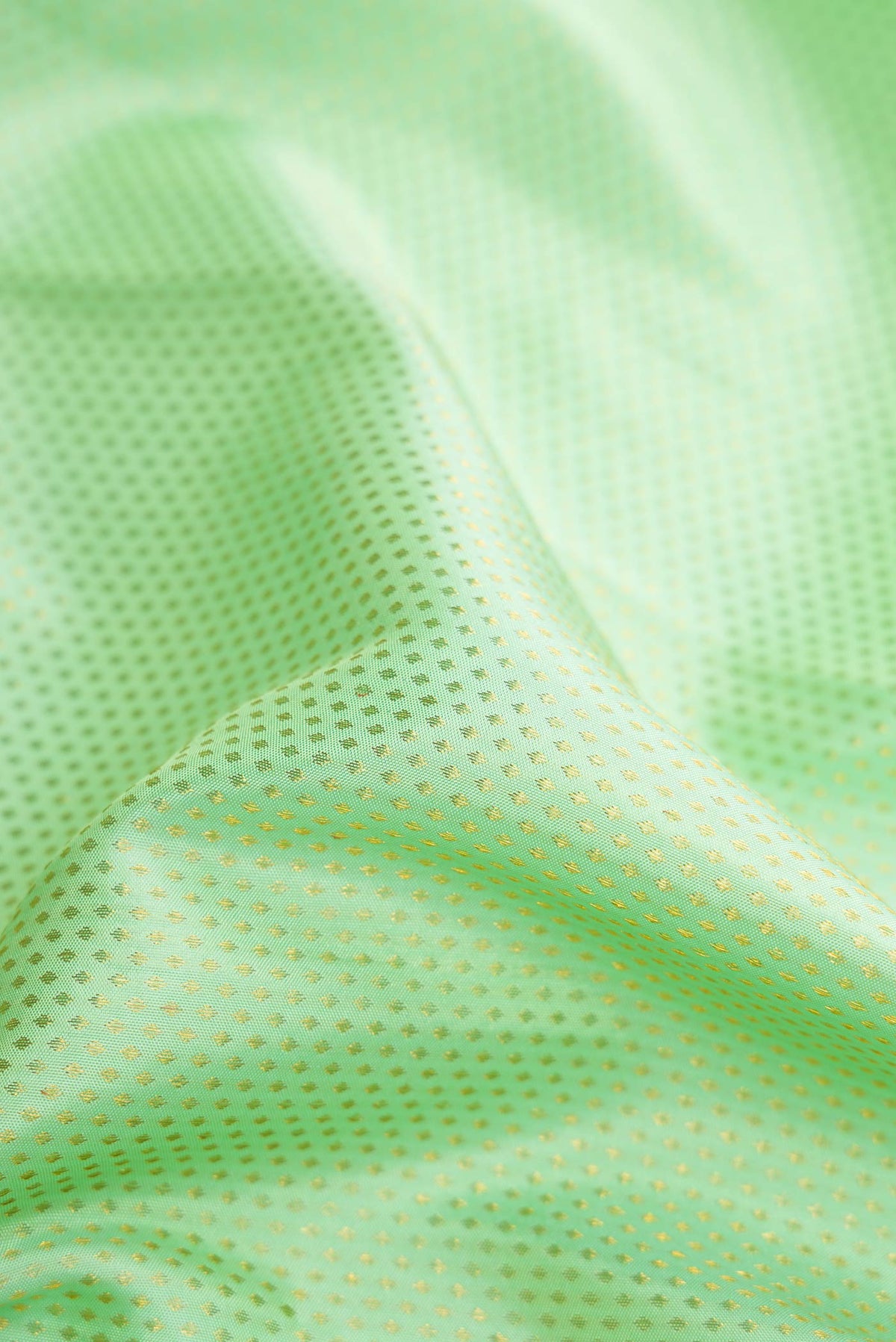 Close up of Pista Green Dual Tone Kanjivaram Silk Saree with Zari Brocade on the body and Zari Border.  displaying folds