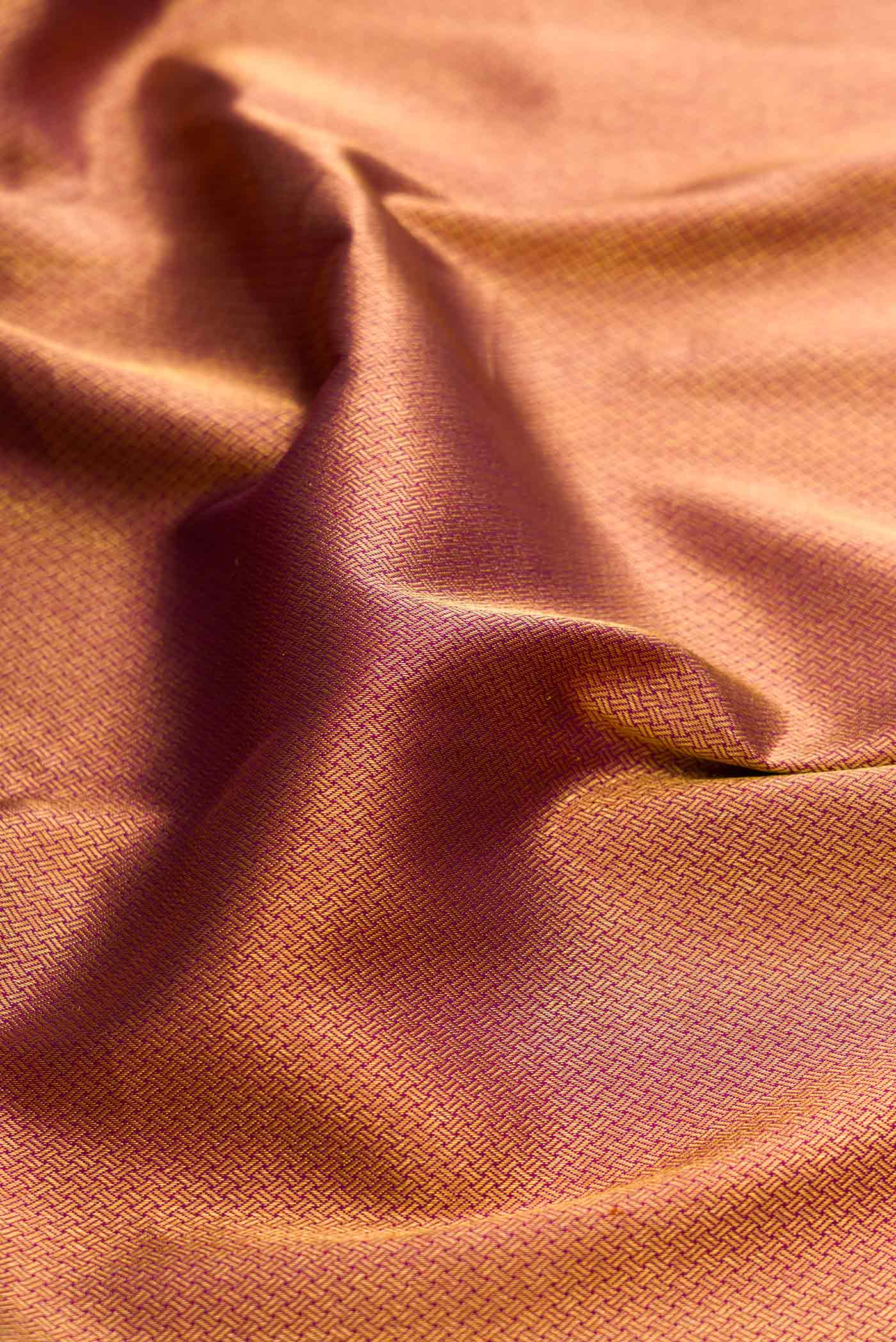 Close up of Gold Dual Tone Kanchipuram Silk Saree with Zari Brocade on the body and Zari Border displaying folds