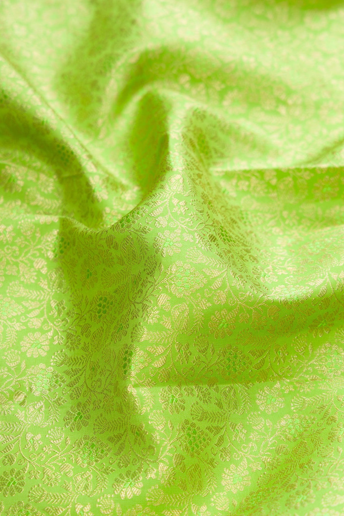 Close up of Parrot Green Dual Tone Kanchipuram Silk Saree with Zari Brocade on the body and Zari Border.  displaying folds