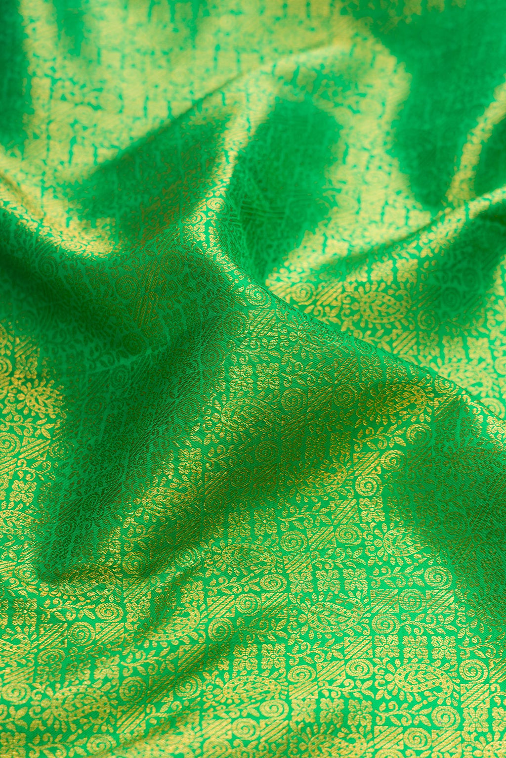 Close up of Parrot Green Dual Tone Kanchipuram Silk Saree with Zari Brocade on the body and Zari Border.  displaying folds